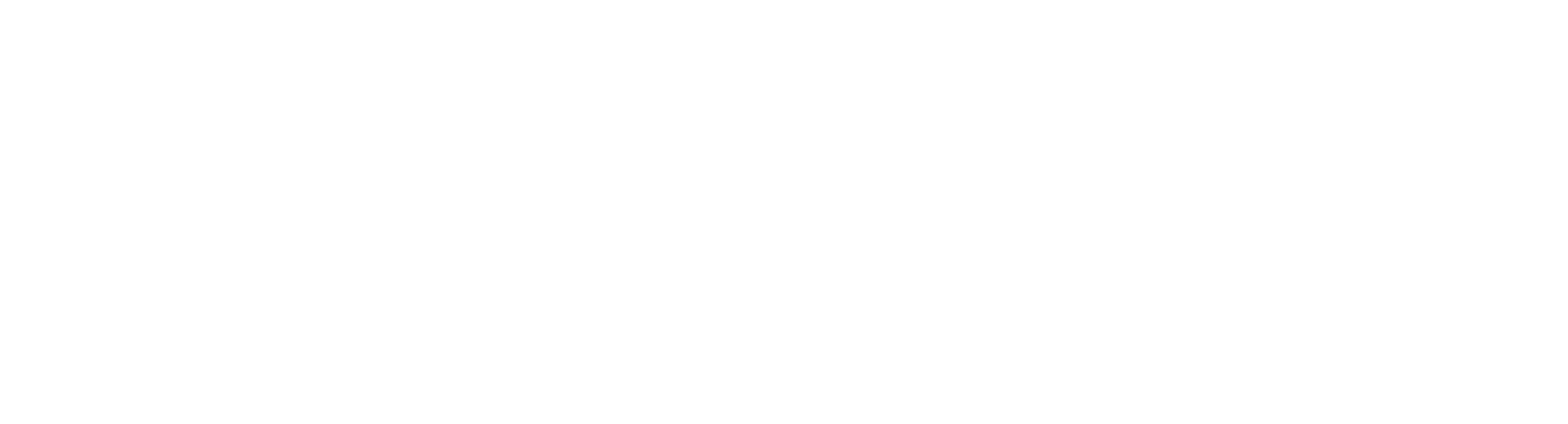 Sysnet is now VikingCloud logo